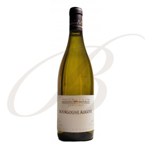Bourgogne Aligoté, Domaine Maldant-Pauvelot (Bourgogne), 2022 - Vin Blanc