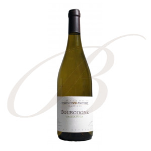 Bourgogne Chardonnay, Domaine Maldant-Pauvelot (Burgundy), 2021 - Vin Blanc