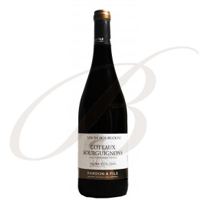 Coteaux Bourguignons rouge, Domaine Pardon & Fils (Burgundy), 2022 - Vin Rouge