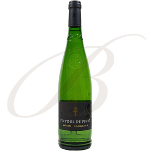 Picpoul de Pinet, Domaine Morin Langaran (Languedoc), 2023 - Vin Blanc