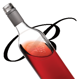Wine Shield Conservateur de Vin, Sachet de 20