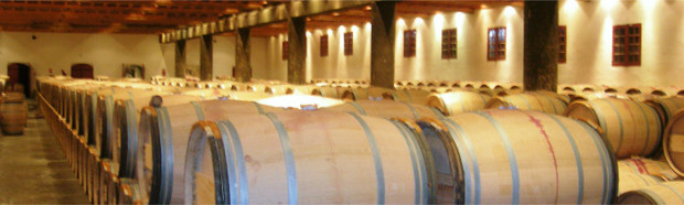 conservation cave à vin